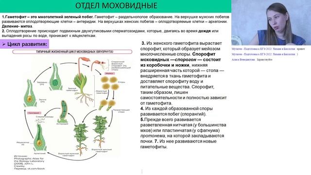 Занятие #10. Циклы развития растений