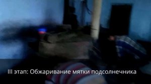 Маслобойка. Получение масла подсолнечного