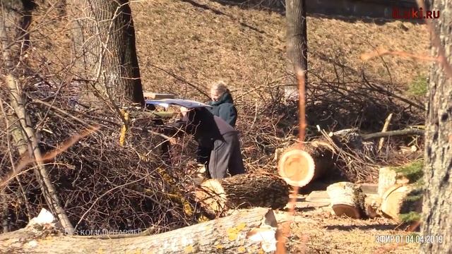 Без комментариев - дрова бесплатно самовывоз, пыль столбом 04.04 смотреть онлайн