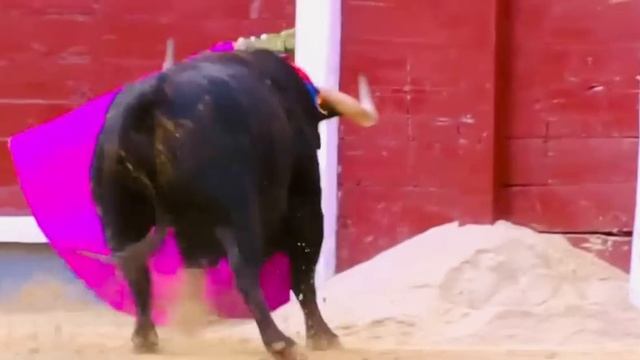 Terrorífico Toro de la ganadería De Samuel Flores смотреть онлайн
