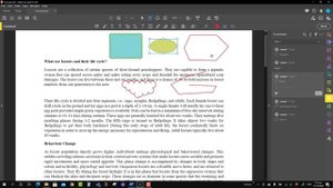 How to draw polygon rectangle oval cloud in Adobe Acrobat Pro DC