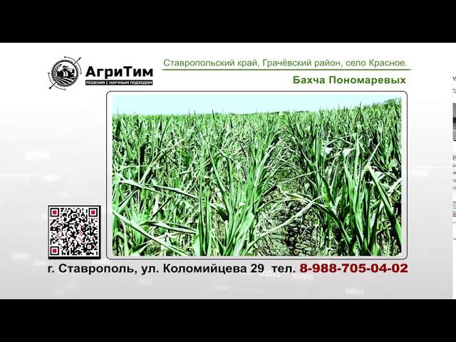 "АгриТим" - ИННОВАЦИИ В ЗЕМЛЕДЕЛИИ!