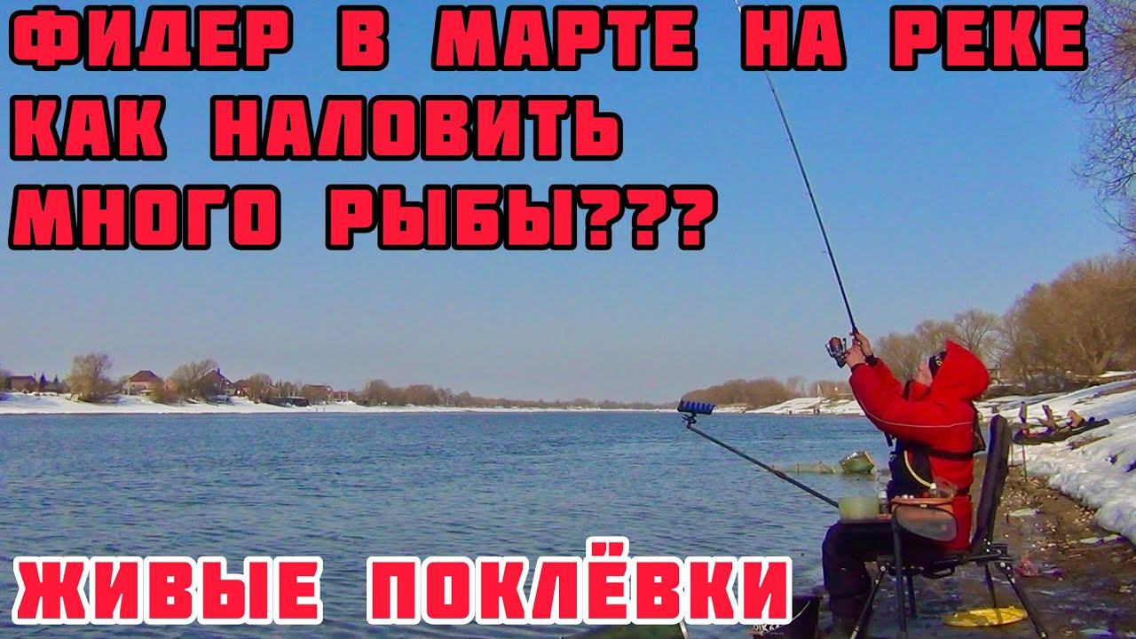 ФИДЕР в МАРТЕ на РЕКЕ / ОТКРЫТИЕ СЕЗОНА / ЖИВЫЕ ПОКЛЁВКИ смотреть онлайн