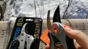 Новые секаторы "Amigo" и "Green Apple" в подарок от мужа 18.03.2023