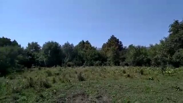 Дом на Юге, Переезд в Краснодарский Край