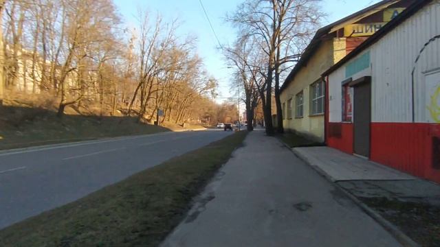 Прогулка, красота, Калининград
