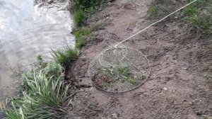 Раколовки. Ловля раков на раколовки в Беларуси