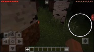 Ни когда не запускай эту версию майнкрафт