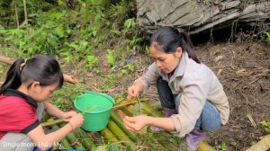 Mother and daughter went fishing and picked wild vegetables to cook