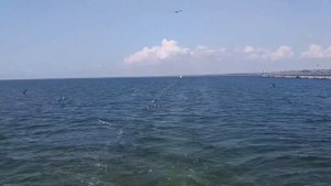 Послушай, если нужна поддержка