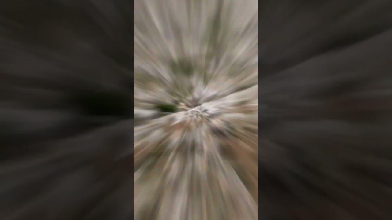 Доисторические дороги в камне на Мальте #shorts смотреть онлайн