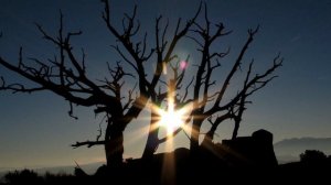 Ложный пророк в Исламе | Аль-Масих ад-Даджаль