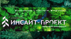 Лесовосстановление: где рождается лес?