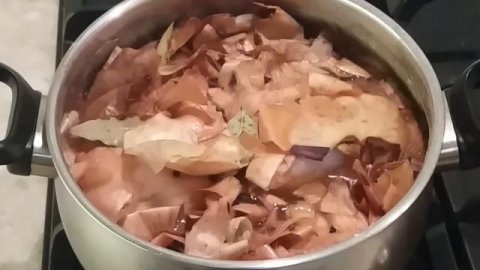 Сало в луковой шелухе/Сало в цибулинні/Salo boiled in onion skins