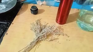 Чай из полыни для голубей его свойства.