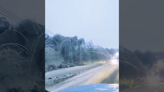 Видео от Типичный Нижний Новгород (1).mp4