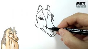 Как нарисовать ЛОШАДЬ