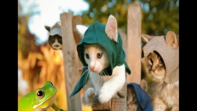 Прикольные картинки с котами/Смешные картинки с надписями