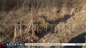 Пропавшая женщина найдена утонувшей в ручейке, который можно перейти в кроссовках