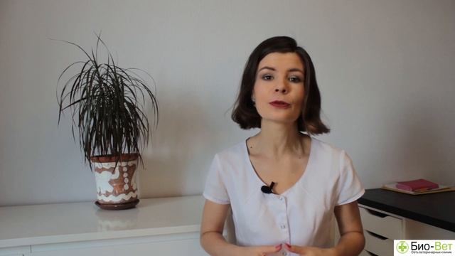 Что Любят Волнистые Попугаи // Еда, Игрушки Для Волнистых Попугаев // БИО-ВЕТ смотреть онлайн