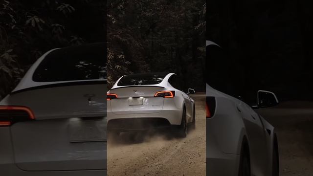 Tesla Model Y Alınır mı? #tesla #meyzileyoutubeshorts