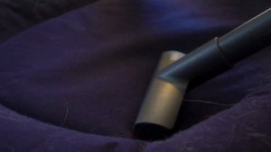 THOMAS AQUA+ PET & FAMILY - Der Wasch-Sauger im Test