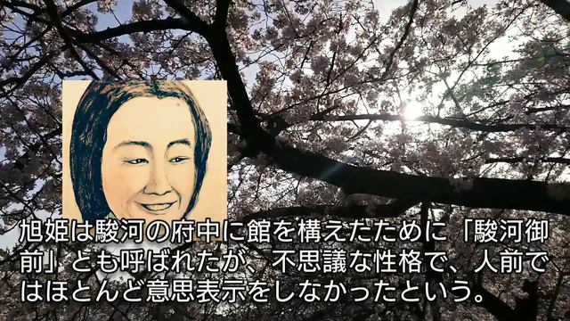 「どうする家康」に学ぶ【日本史】大政所と旭姫 秀吉に振り回された哀れな親族 高畑淳子の存在感 離婚さされ徳川家康に嫁がせられ死去した妹と人質にされた母 Ohmandokoro Japan смотреть онлайн