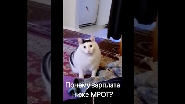 Очередное требование от ФНС