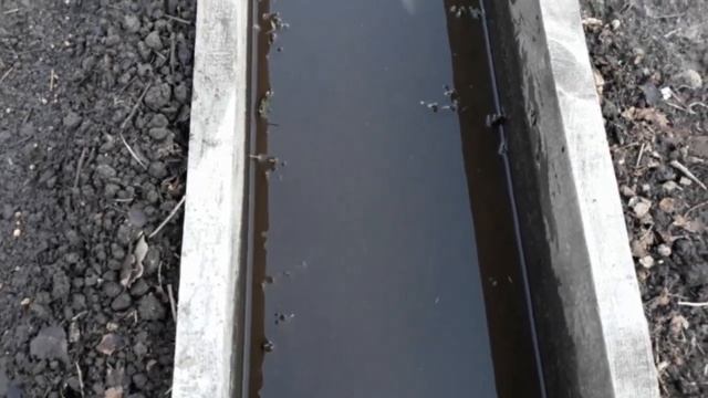 Морковь без прополки! Простой способ!Свёкла без рассады!! смотреть онлайн