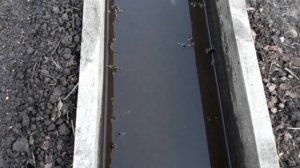 Морковь без прополки! Простой способ!Свёкла без рассады!!