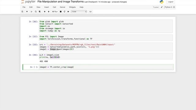 PyTorch Transformations Tutorial | Crops and File Manipulation (2020)