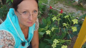 Видео привет с 6 соток 30 июня 2024 года