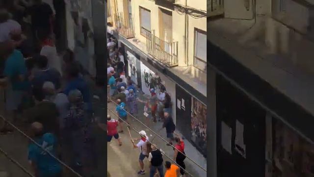 забег быков в Испании #испания смотреть онлайн