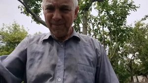 Про акация и мед