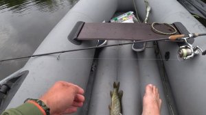 Первое знакомство со спиннингом Тайфун 2020. Окунь и щука на спиннинг летом.