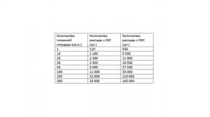 Рассада как бизнес