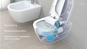 DirectFlush   Rimless Toilet   Villeroy & Boch