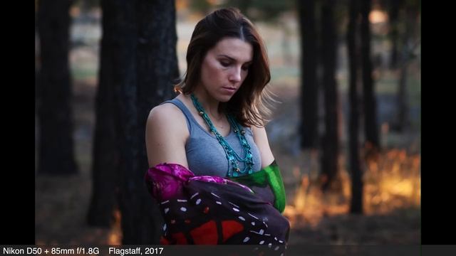 Best Cameras for the Beginner Photographer Part 2 of 4 - DSLRs смотреть онлайн