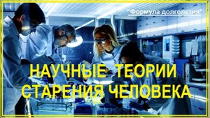 Теории старения - почему люди стареют и умирают?