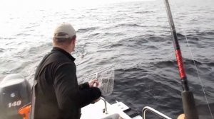 TROLLING. Кварцитный. Онежский берег, ловим судака троллингом.