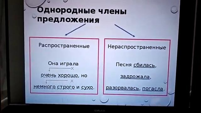 Русский язык. Тема урока:" Однородные члены предложения".