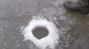 как ловить рыбу на балду? Учимся ловить на балду. Смотрите и пробуйте