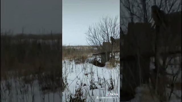 Филин филька где прячется днем смотреть онлайн