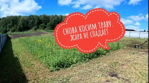 Снова косим траву. Жара не спадает #питомникклубники #клубника #дача