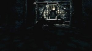 Skyrim Mod: Light Meter