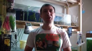 Аллергия на животных. От чего, почему, что делать!