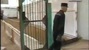 Исправительные центры ИК10 г. Краснокаменска.