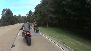 Олень сбил мотоциклиста