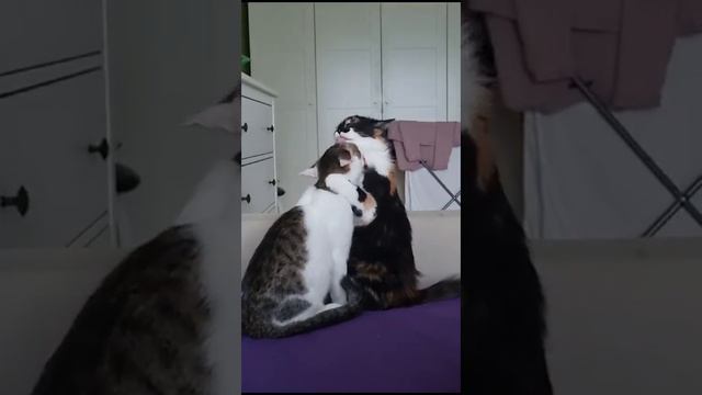 15 ноября 2023 г. смотреть онлайн