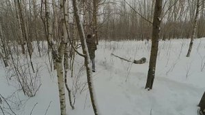 солонец для зайца(за 20 мин)